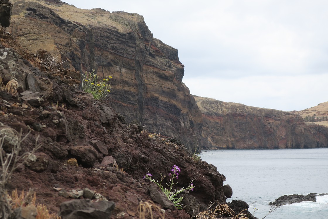 Madeira 2019