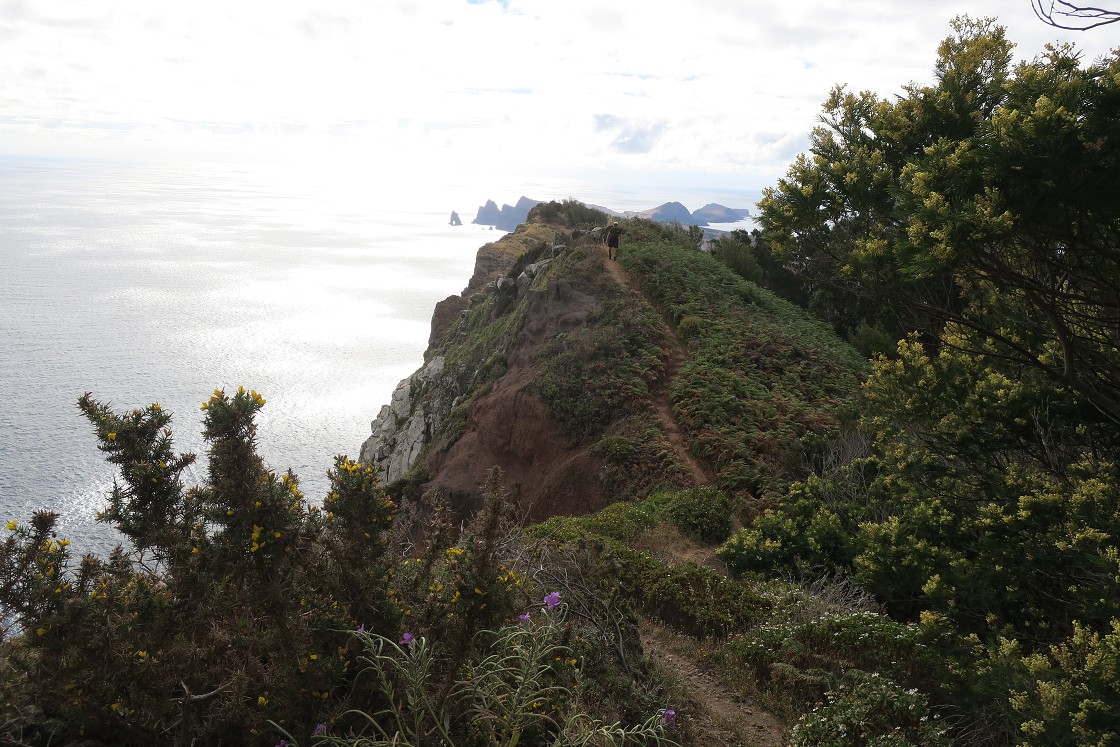 Madeira 2019