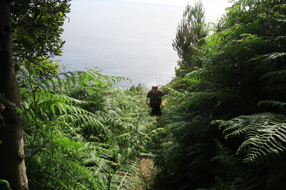 Madeira 2019