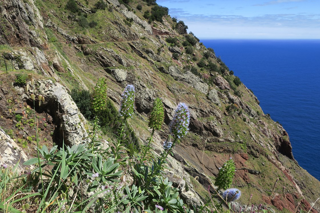 Madeira 2019