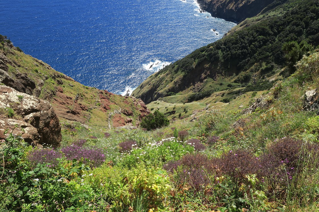 Madeira 2019