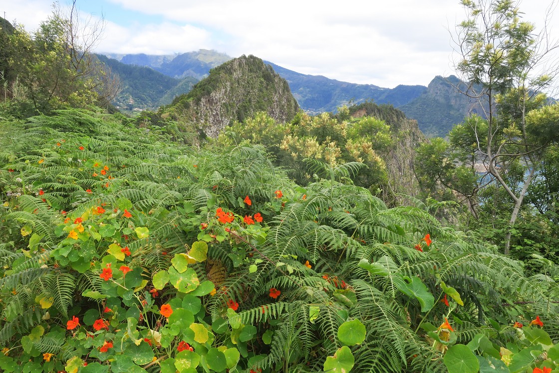 Madeira 2019