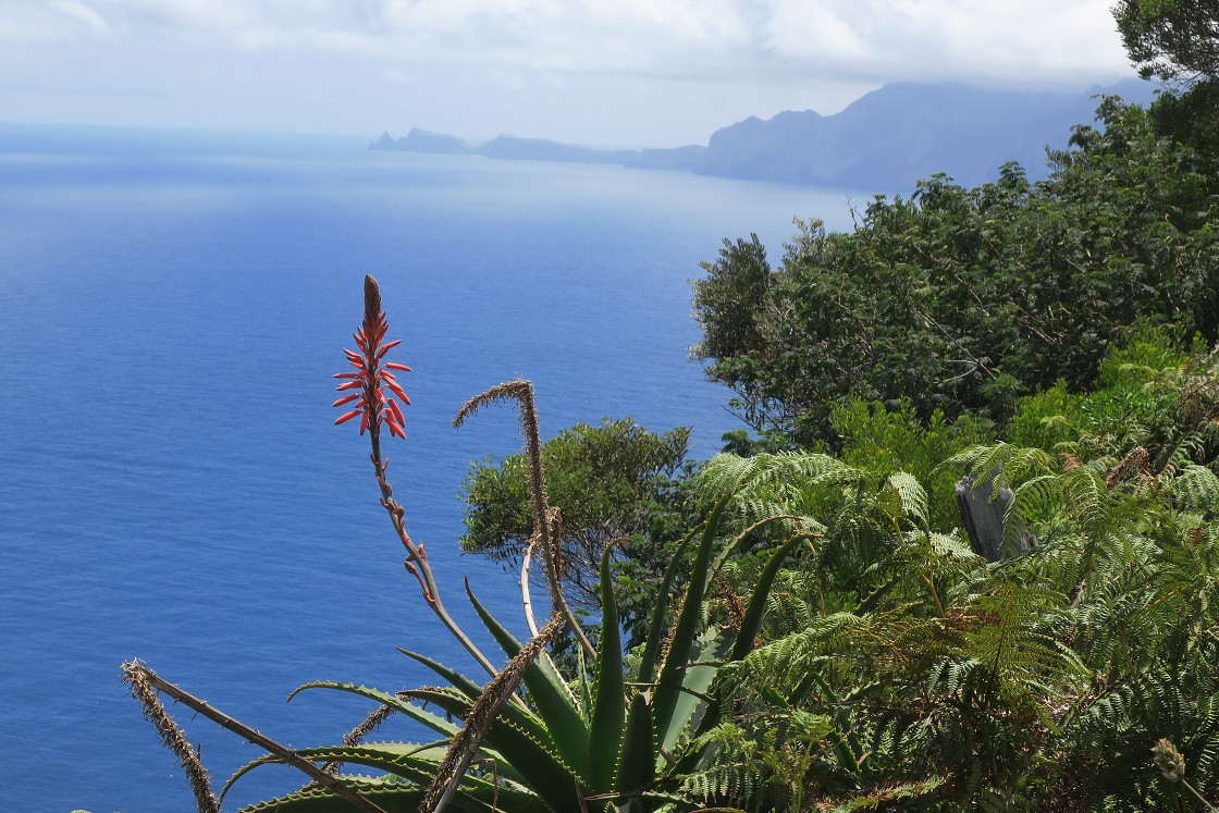 Madeira 2019