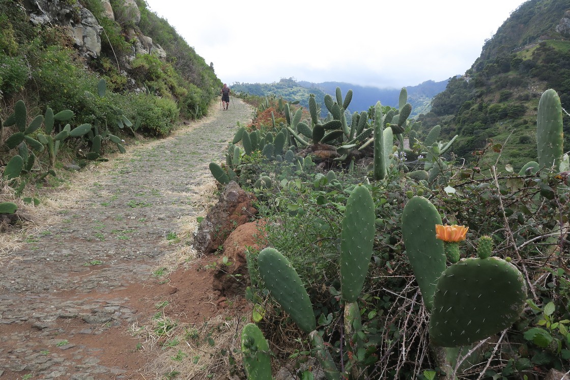 Madeira 2019