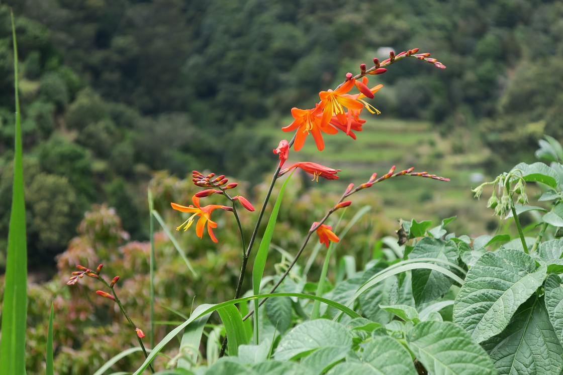 Madeira 2019