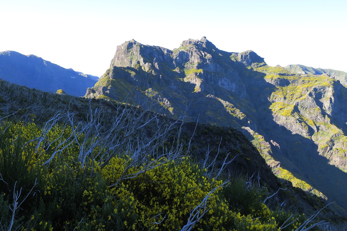 Madeira 2019