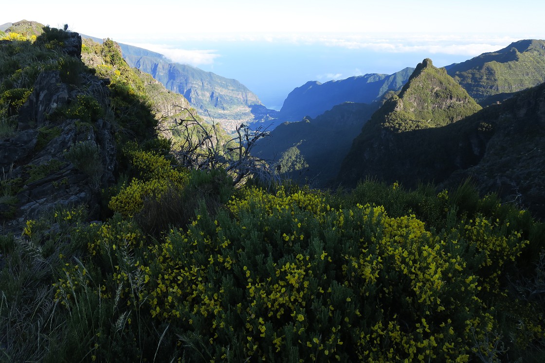 Madeira 2019