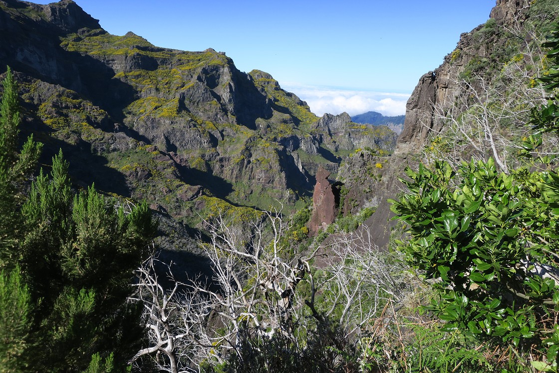 Madeira 2019