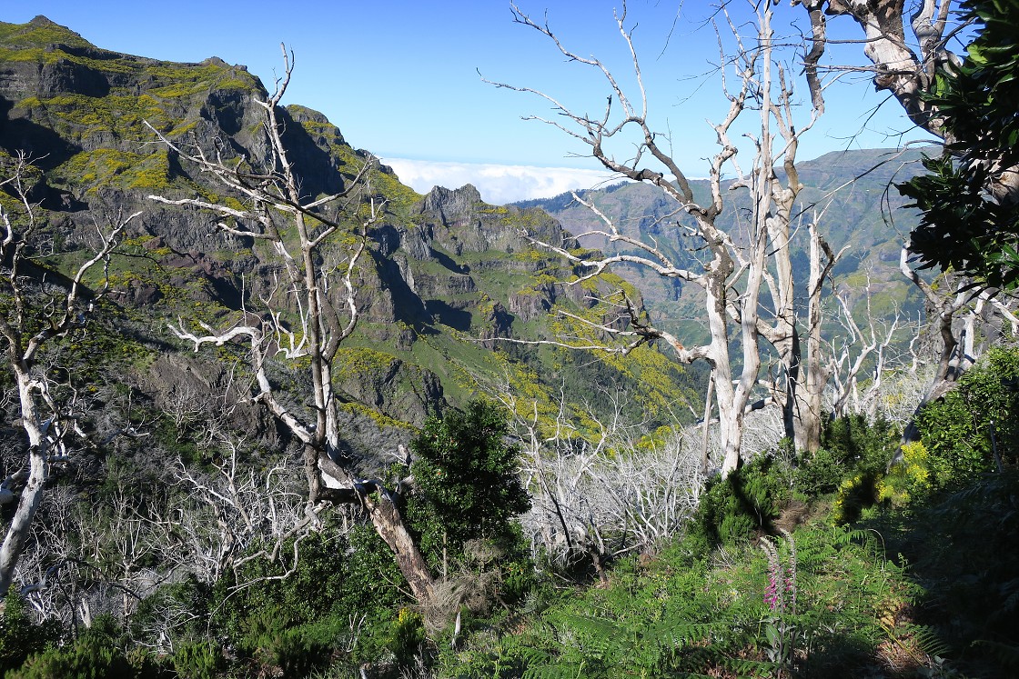 Madeira 2019