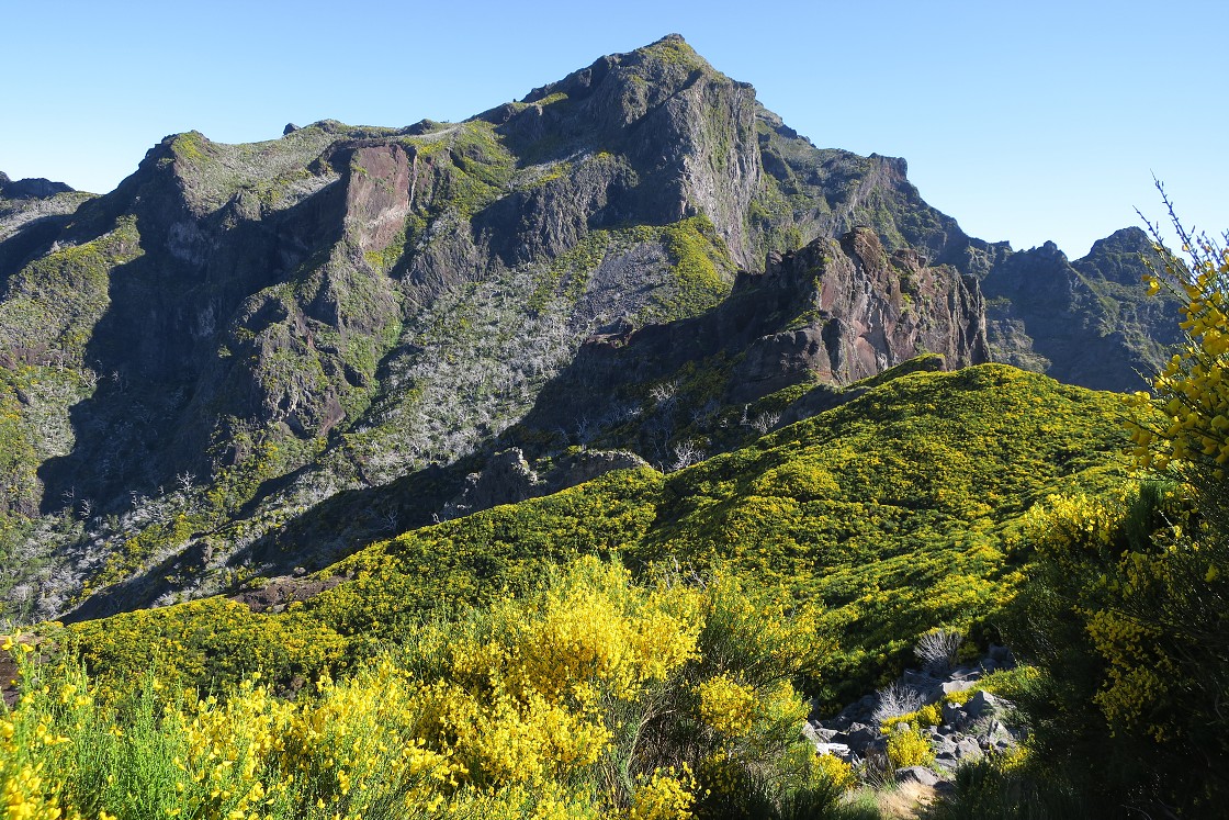 Madeira 2019