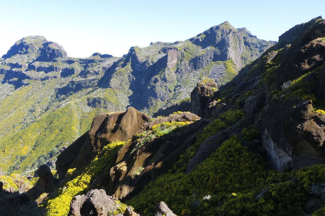 Madeira 2019