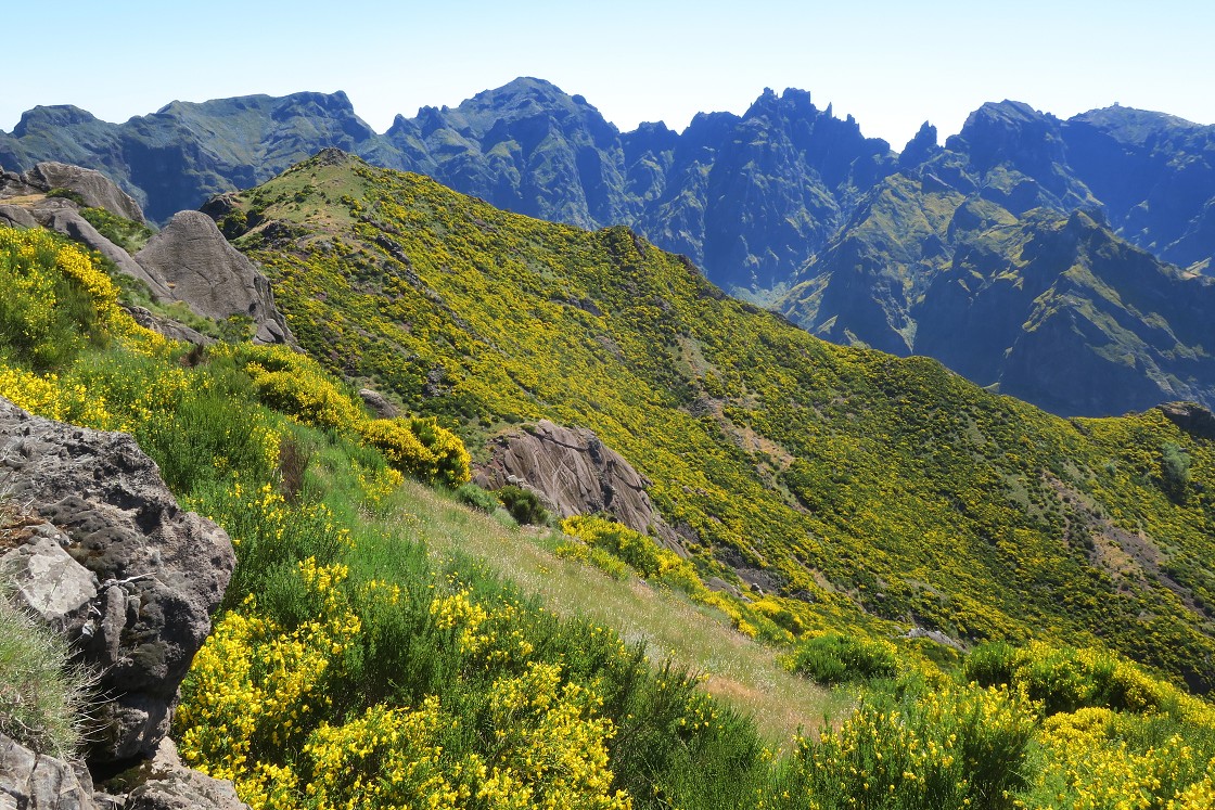 Madeira 2019