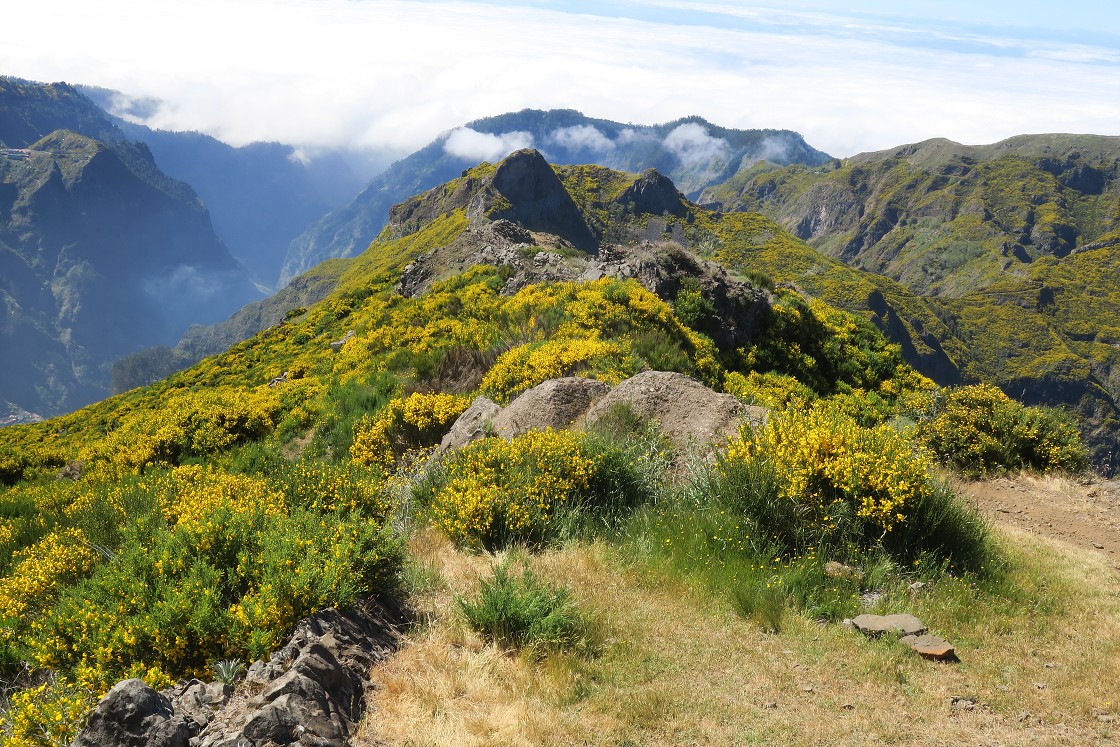 Madeira 2019