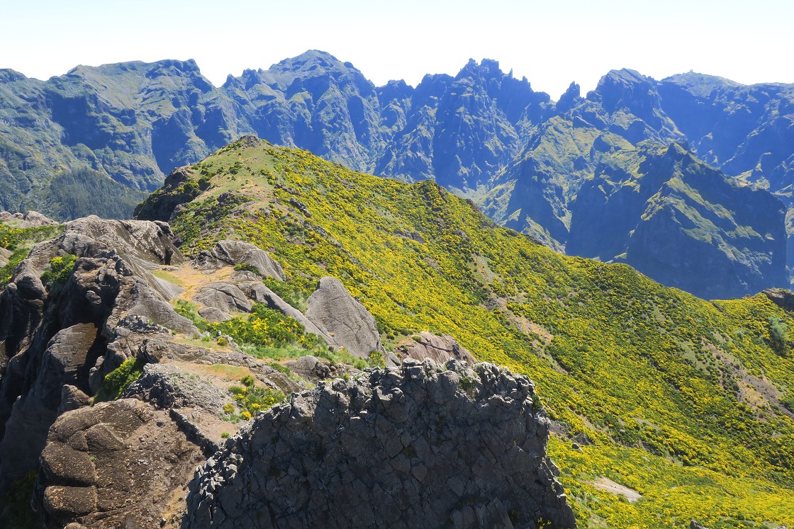 Madeira 2019