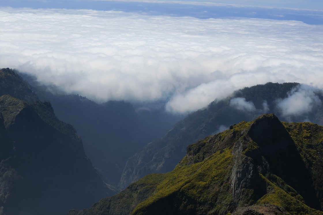 Madeira 2019