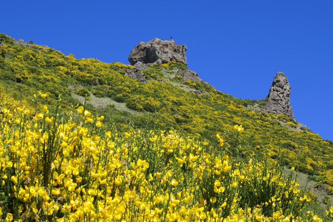 Madeira 2019