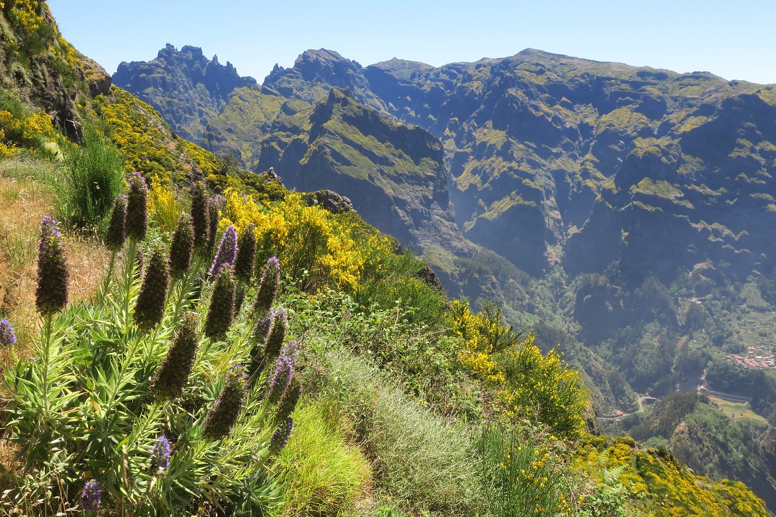 Madeira 2019