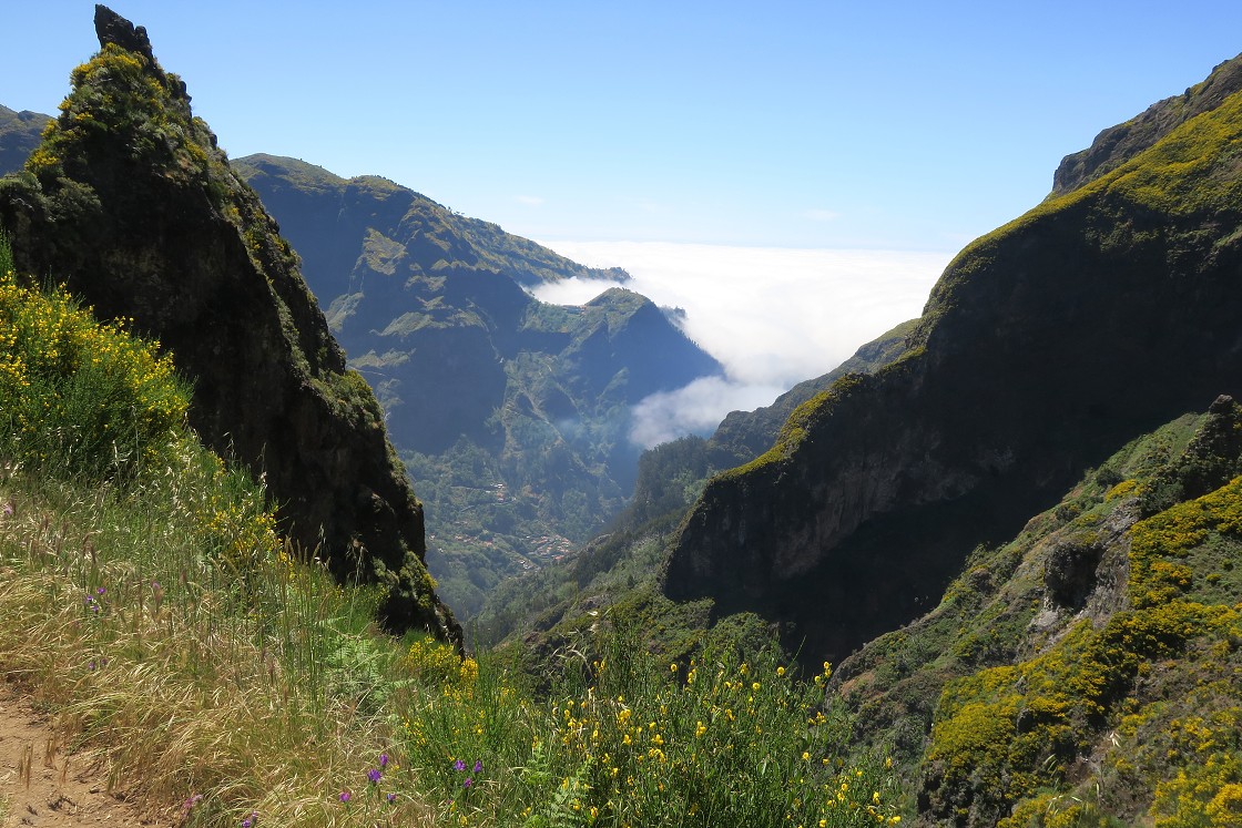 Madeira 2019