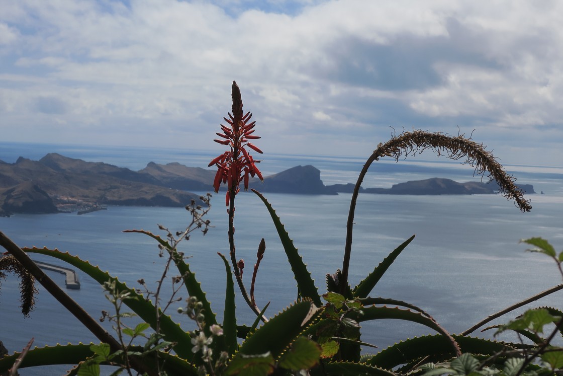 Madeira 2019