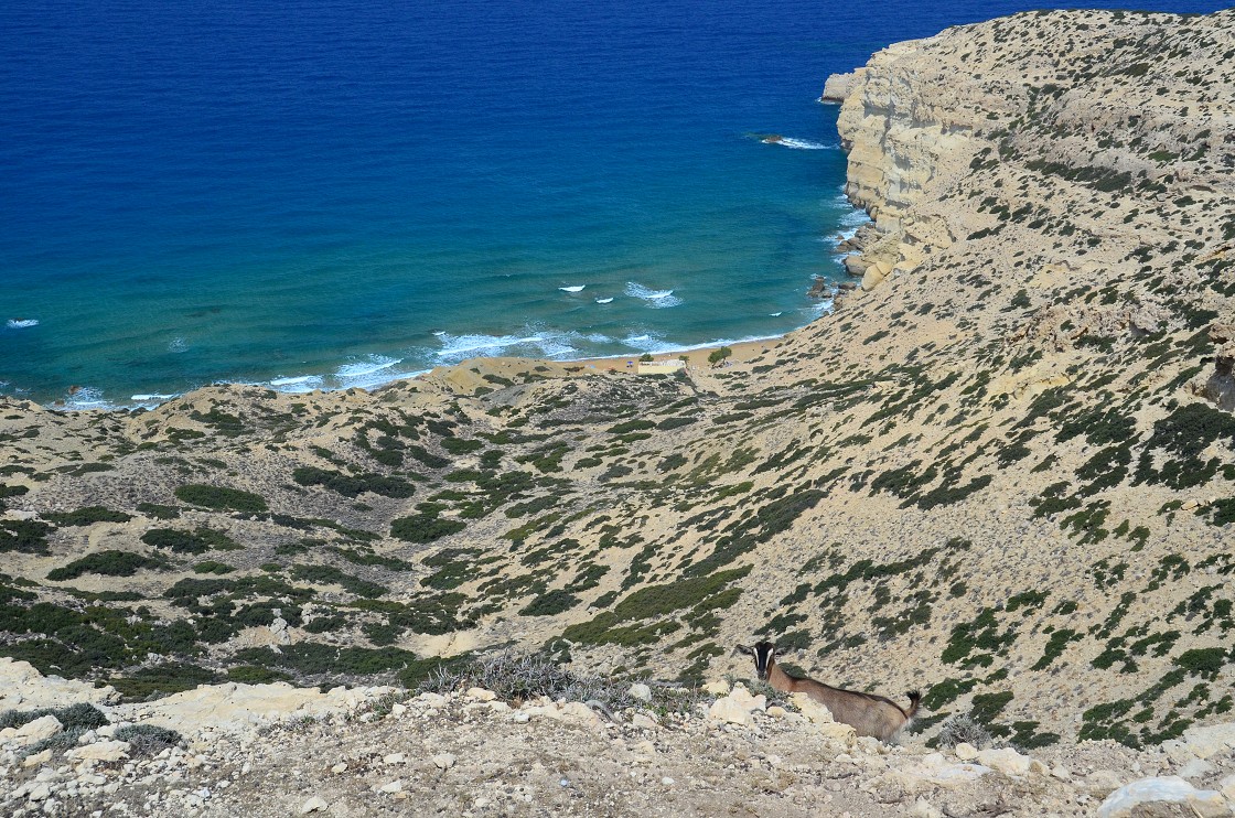 Mátala, Red beach, Zafiria, The Lions restaurant, 