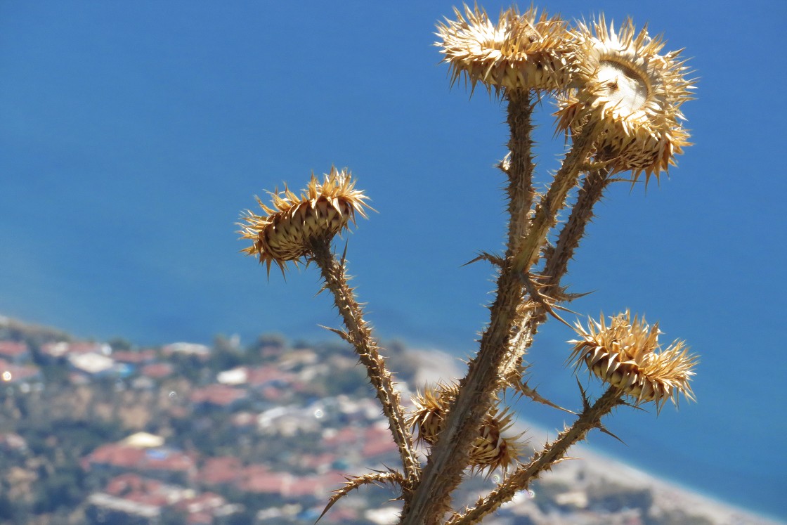 Samos 2019