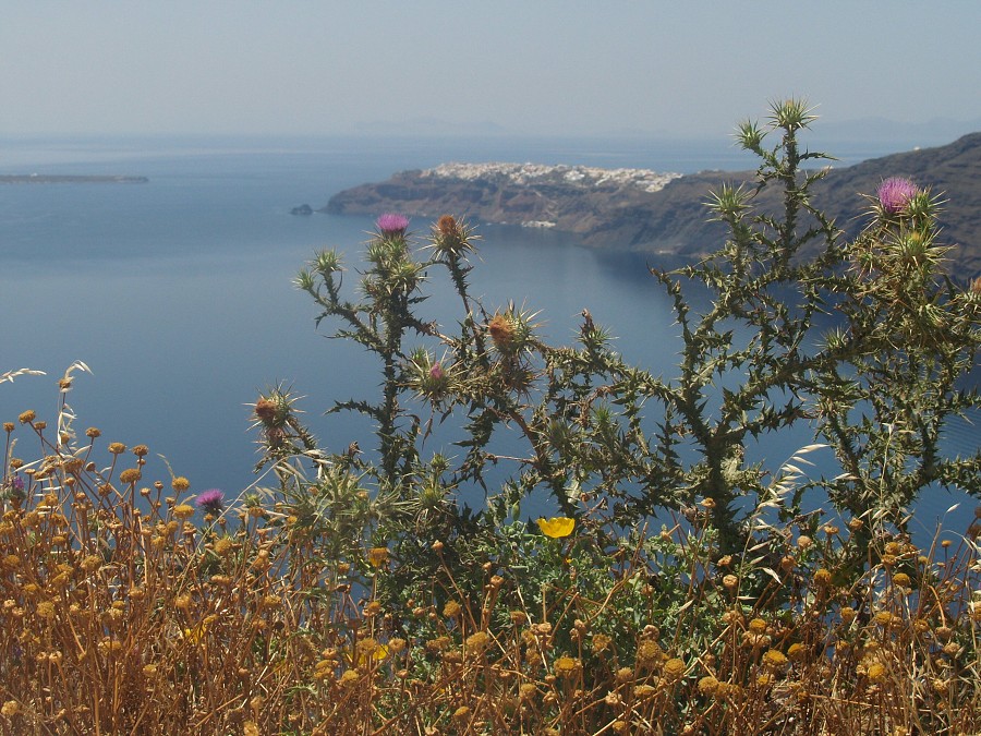 Santorini 2010