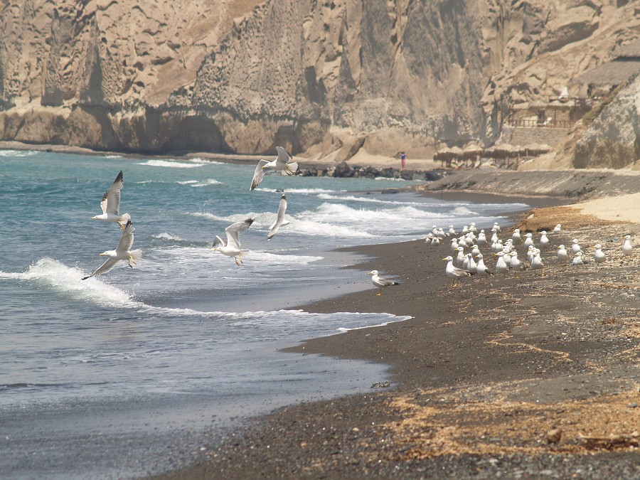 Santorini 2010