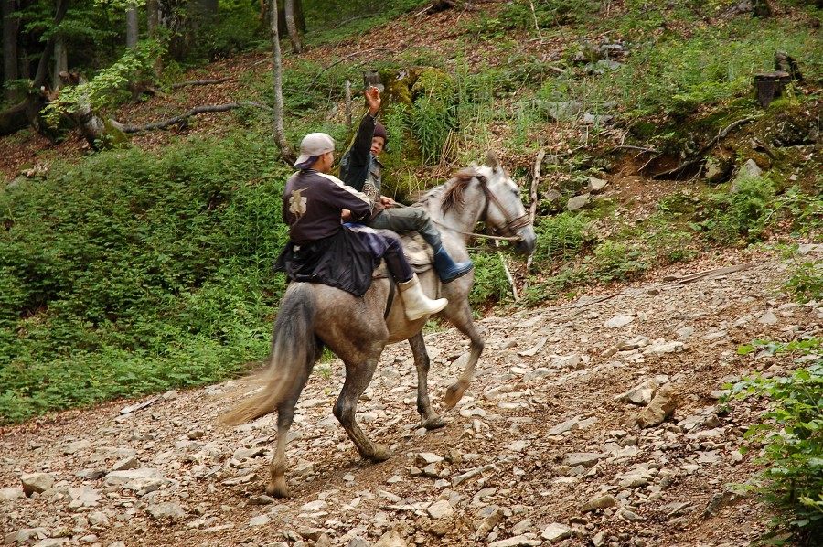 Ukrajina - Dubové 2008