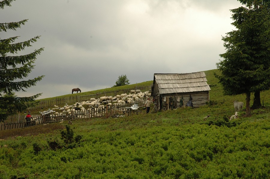 Ukrajina - Dubové 2008