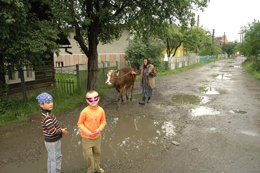 Ukrajina - Dubové 2008