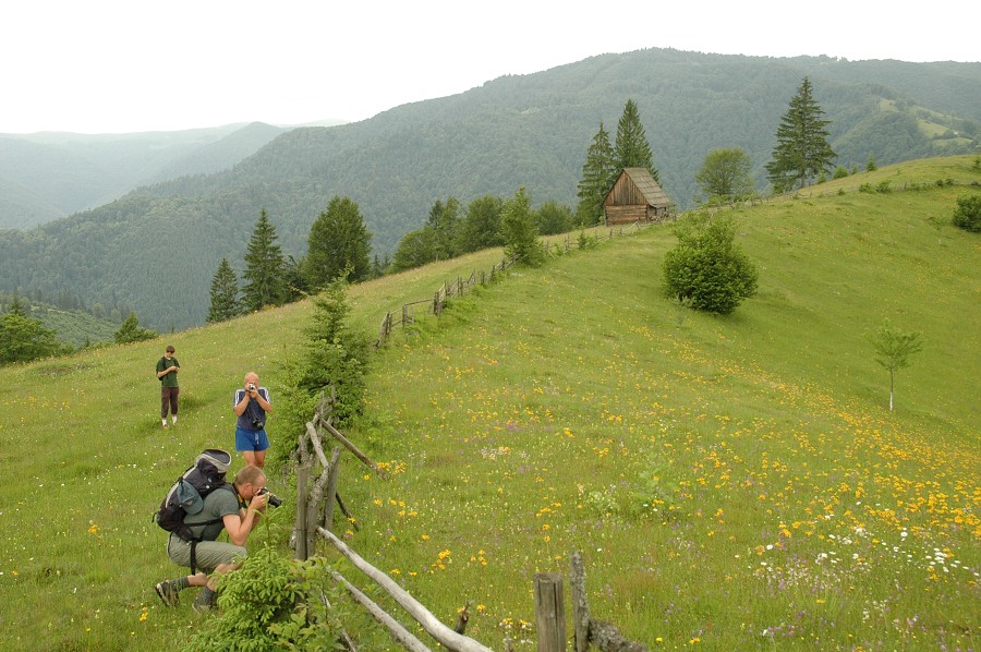 Ukrajina - Dubové 2008